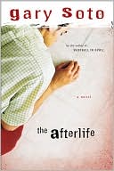 Book The Afterlife free