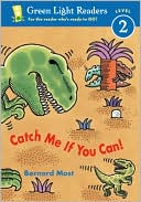 Book Catch Me If You Can! (Green Light Readers Level 2) free