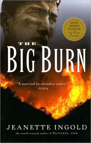 Book The Big Burn free