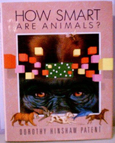 Book How Smart Are Animals? free