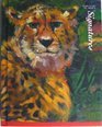 Book Te: Rare Finds Gr4 Vol 2 Signatures 97 free