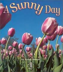 Book Storytown: Library Book Stry 08 Grade 1 Sunny Day free