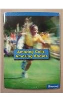 Book Harcourt Science Leveled Readers: On Level Reader 5 Pack Grade 5 Amazing Cells, Amazing Bodies free