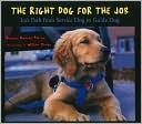 Book Storytown: Challenge Trade Book Story 2008 Grade 3 Right Dog/Job free