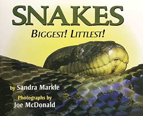 Book Storytown: Challenge Trade Book Story 2008 Grade 3 Snales: Big/Little free
