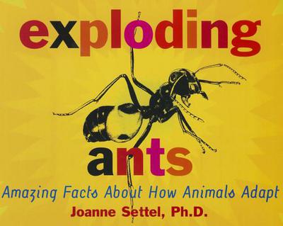 Book Storytown: Challenge Trade Book Story 2008 Grade 4 Exploding Ants free