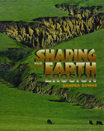 Book Storytown: Challenge Trade Book Story 2008 Grade 4 Shpg Earth free