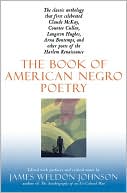 Book The Book of American Negro Poetry: Revised Edition free