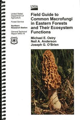 Book Field Guide to Common Macrofungi in Eastern Forests and Their Ecosystem Functions free