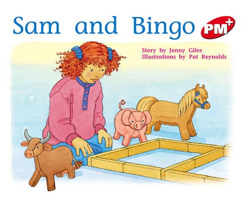 Book PM Plus (Progress with Meaning) free