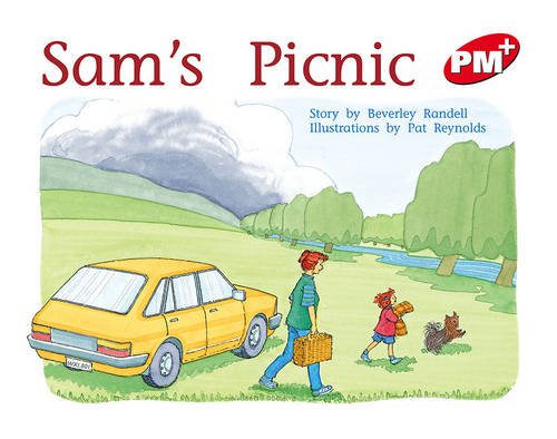 Book PM Fiction Plus (Progress with Meaning) free