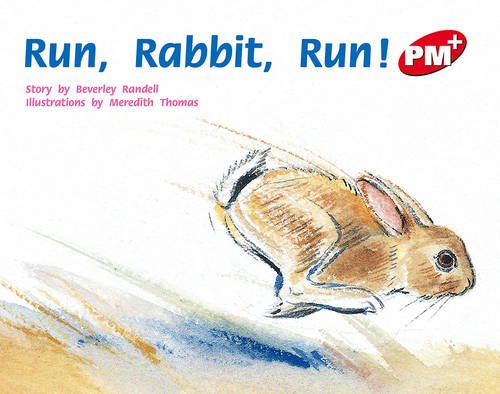 Book PM Plus (Progress with Meaning) free