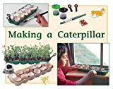 Book PM Non-fiction Plus (Progress with Meaning) free