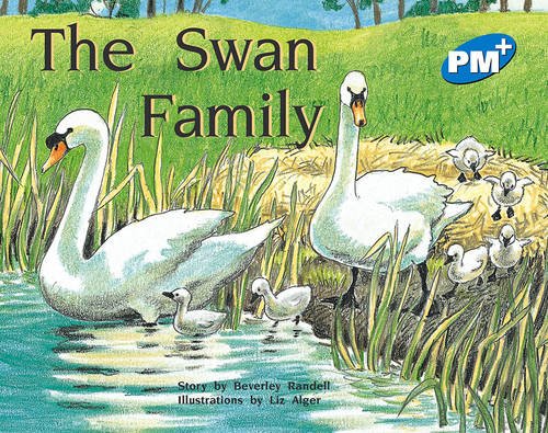 Book PM Fiction Plus (Progress with Meaning) free
