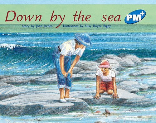Book PM Fiction Plus (Progress with Meaning) free