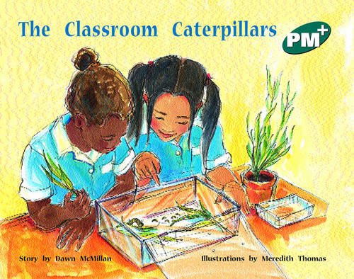 Book PM Plus (Progress with Meaning) free