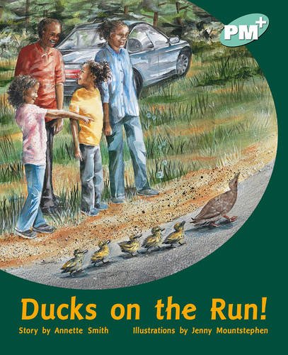 Book Turquoise - Story Books Level 17 (PM Plus) free Book Turquoise - Story Books Level 17 (PM Plus) free
