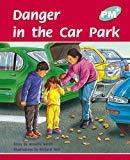 Book Turquoise - Story Books Level 18 (PM Plus) free