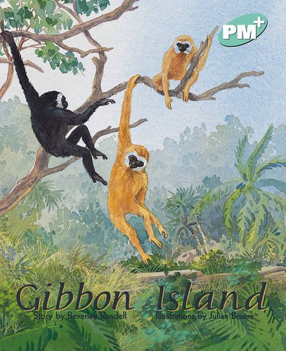 Book Turquoise - Story Books Level 18 (PM Plus) free