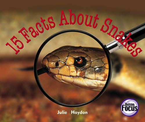 Book Nelson Focus 4a Fifteen Facts free