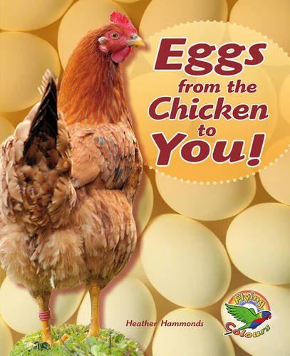 Book Eggs from the Chicken to You! free