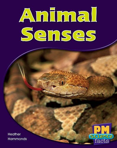 Book Animal Senses PM Science Facts Blue Levels 11/12 Non Fiction free