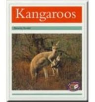 Book Pm Non-fiction Turquoise Level Animals In The Wild Kangaroos (x6) (progress With Meaning) free