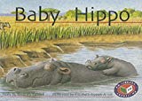 Book Pm Storybooks - Yellow Level Baby Hippo (x6) (progress With Meaning) free