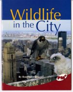 Book Wildlife in the City: PM Plus: Ruby free