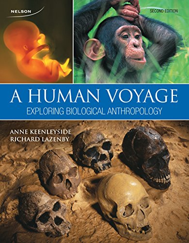 Book A Human Voyage: Exploring Biological Anthropology free