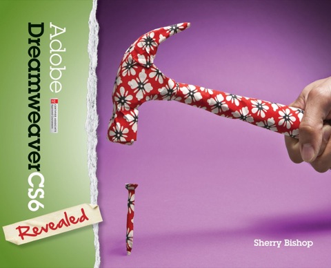 Book Adobe Dreamweaver CS6 Revealed free