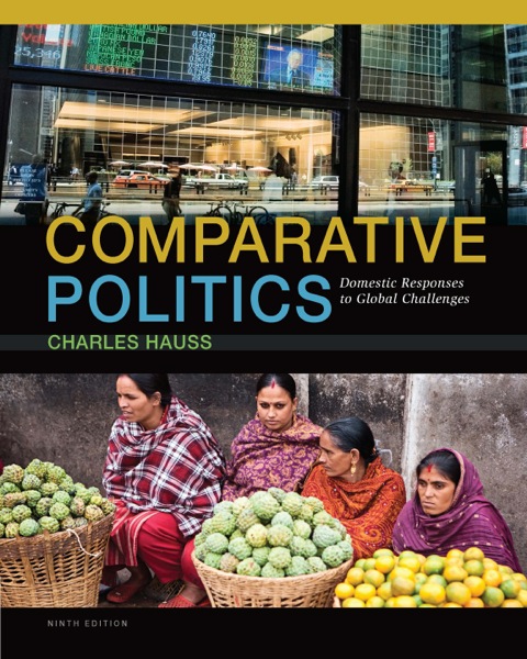 Book Comparative Politics: Domestic Responses to Global Challenges free