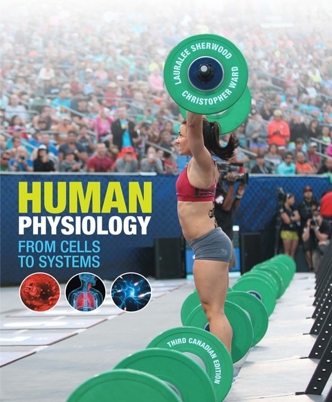 Book Human Physiology: From Cells to Systems free