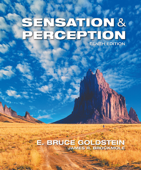 Book Sensation and Perception free