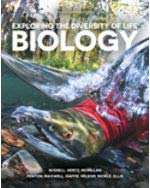 Book Looseleaf: Biology: Exploring the Diversity of Life 4e free