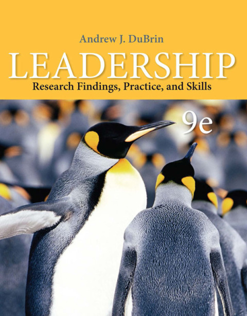 Book 3N3-EBK: LEADERSHIP RESEARCH FINDINGS, PRACTICE & SKILLS free