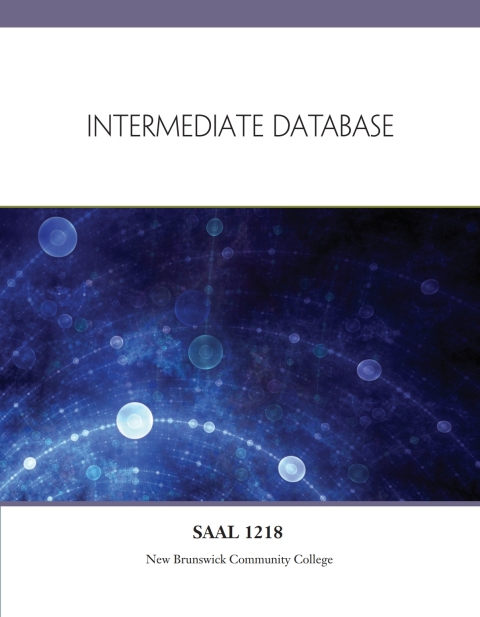 Book Custom eBook: Intermediate Database, SAAL 1218 free