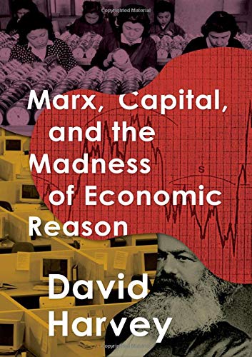 Book Marx, Capital, and the Madness of Economic Reason free