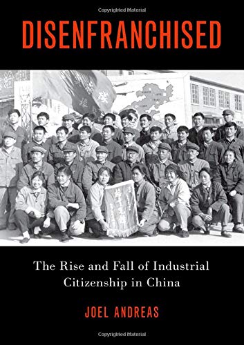 Book Disenfranchised: The Rise and Fall of Industrial Citizenship in China free