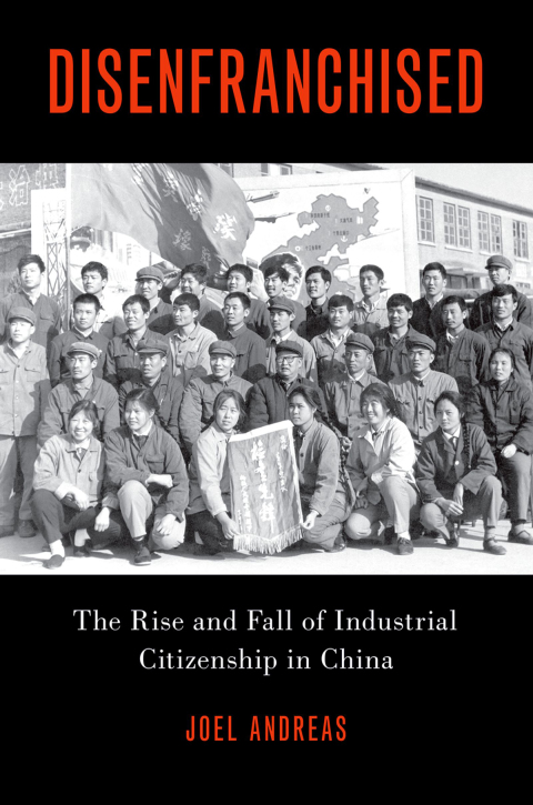 Book Disenfranchised free