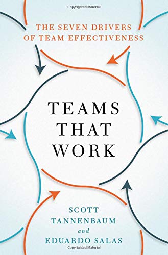 Book Teams That Work: The Seven Drivers of Team Effectiveness free