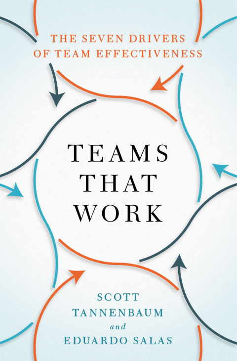 Book Teams That Work: The Seven Drivers of Team Effectiveness free