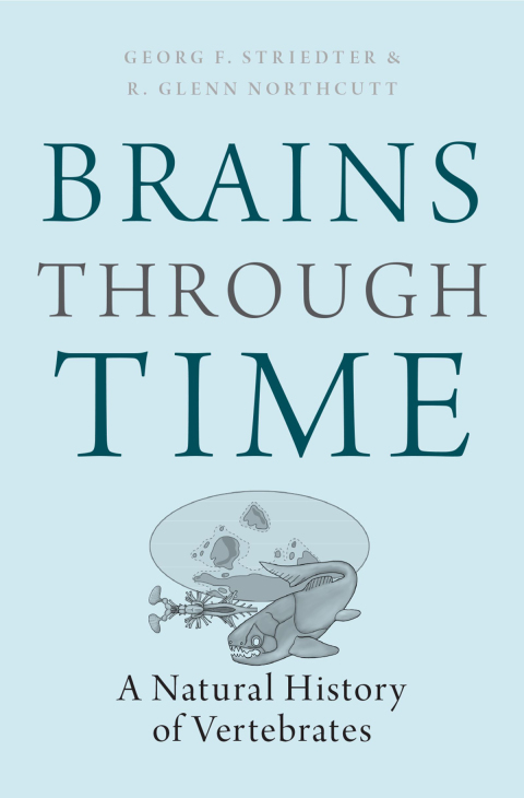 Book Brains Through Time free