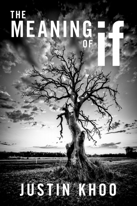 Book The Meaning of If free