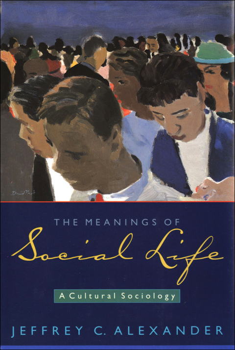 Book The Meanings of Social Life: A Cultural Sociology free