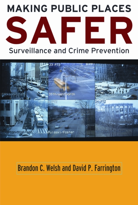 Book Making Public Places Safer: Surveillance and Crime Prevention (Studies in Crime and Public Policy) free