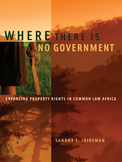 Book Where There is No Government: Enforcing Property Rights in Common Law Africa free