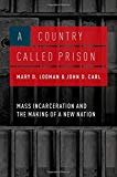 Book A Country Called Prison: Mass Incarceration and the Making of a New Nation free
