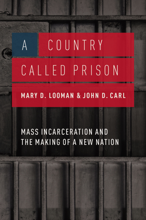 Book A Country Called Prison: Mass Incarceration and the Making of a New Nation free