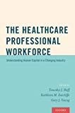Book The Healthcare Professional Workforce: Understanding Human Capital in a Changing Industry free